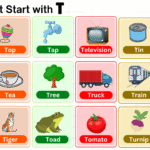 Things that start with T including foods, animals, and objects