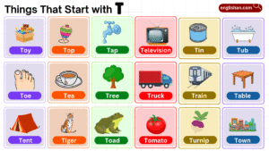 Things that start with T including foods, animals, and objects