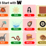 List of things that start with W including foods and animals