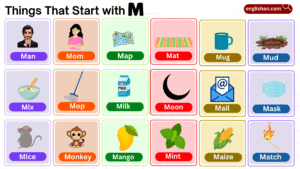 Things that start with M including foods, animals, and objects vocabulary list