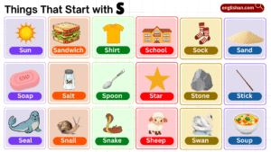 Things that start with S including foods, animals, and objects