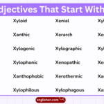 List of English adjectives That Start with X with meanings and examples