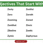 Adjectives That Start With Z