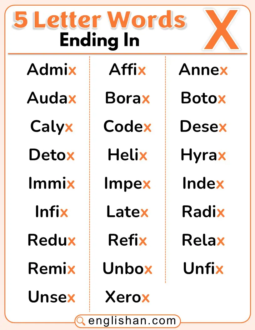 A clean word list showing common five-letter words that end with the letter X.
