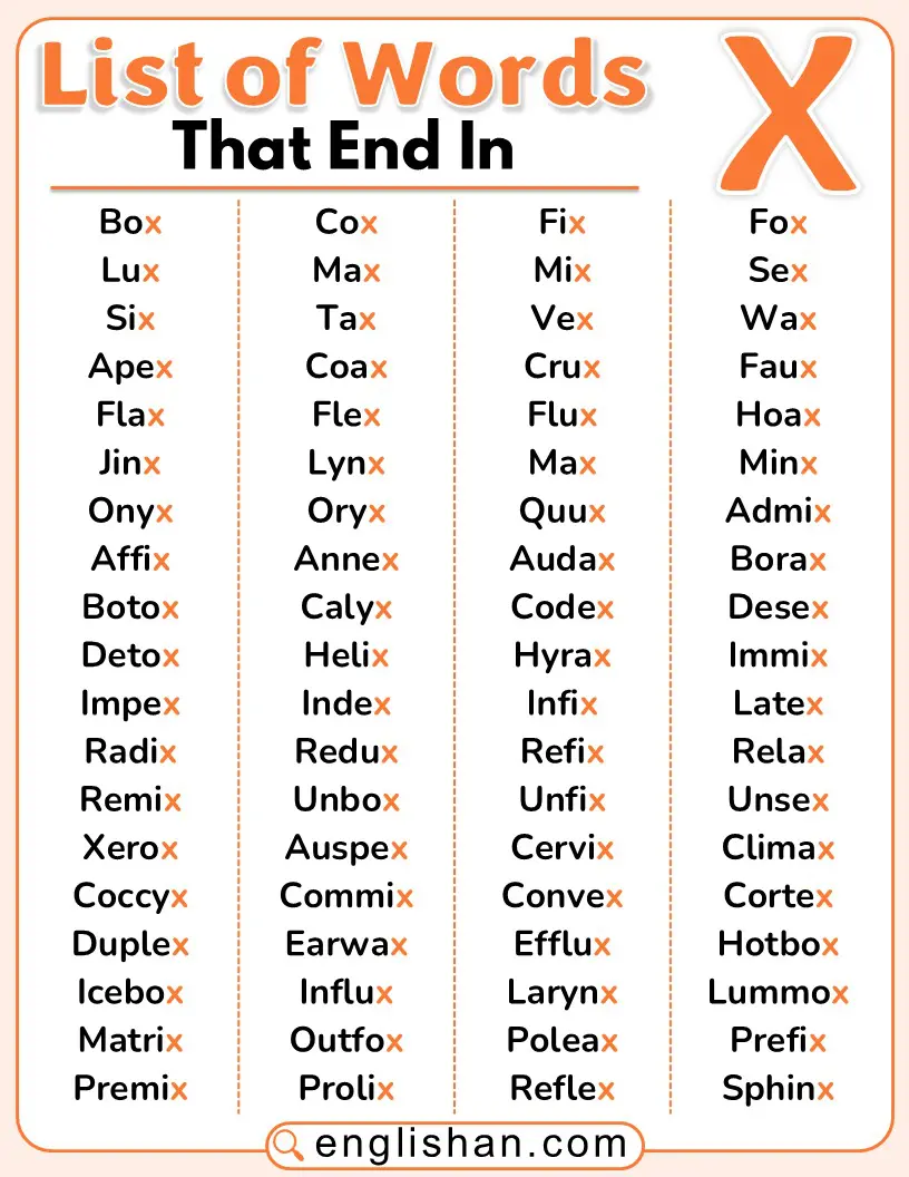 A clean list showing English words that end in the letter X.