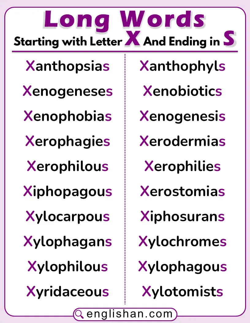 Long English words that start with X and end with S, shown in a clean, easy-to-read layout.
