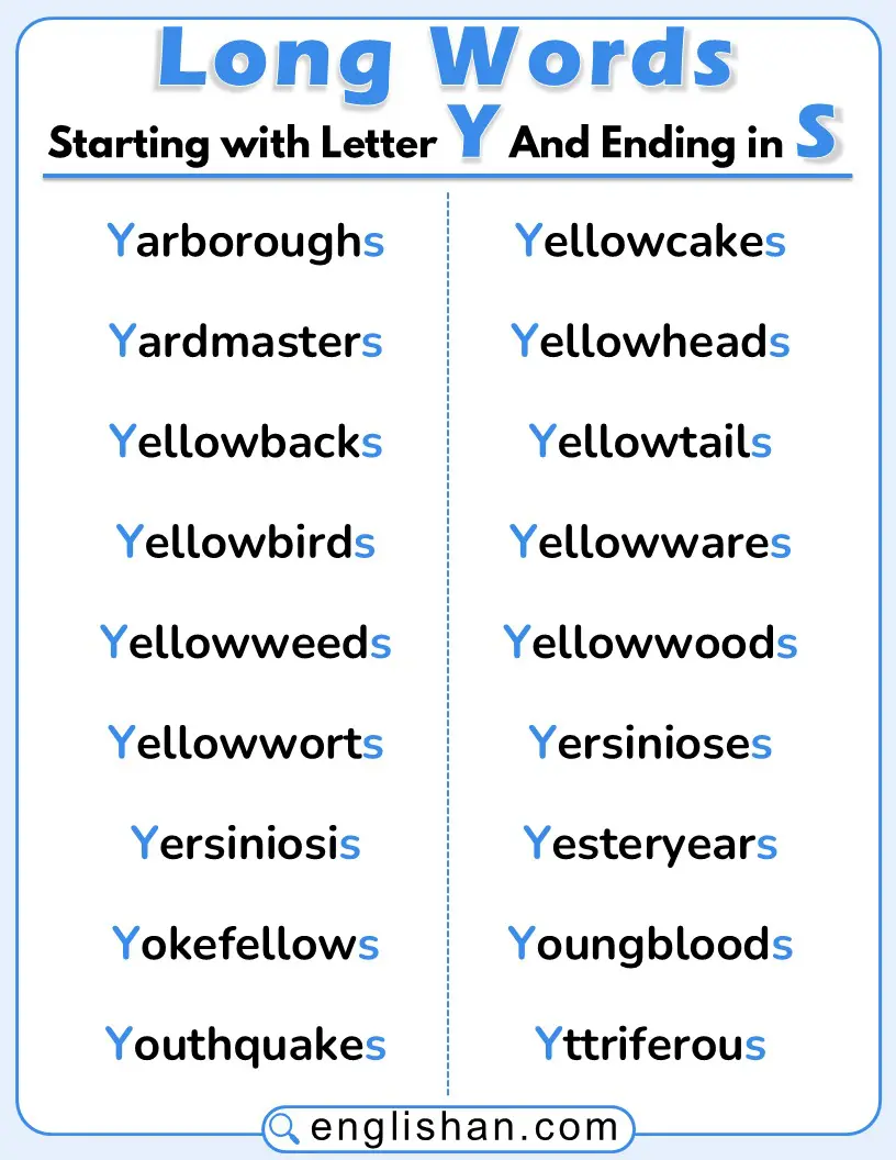Long English words that start with Y and end with S, shown in a clean, easy-to-read list.