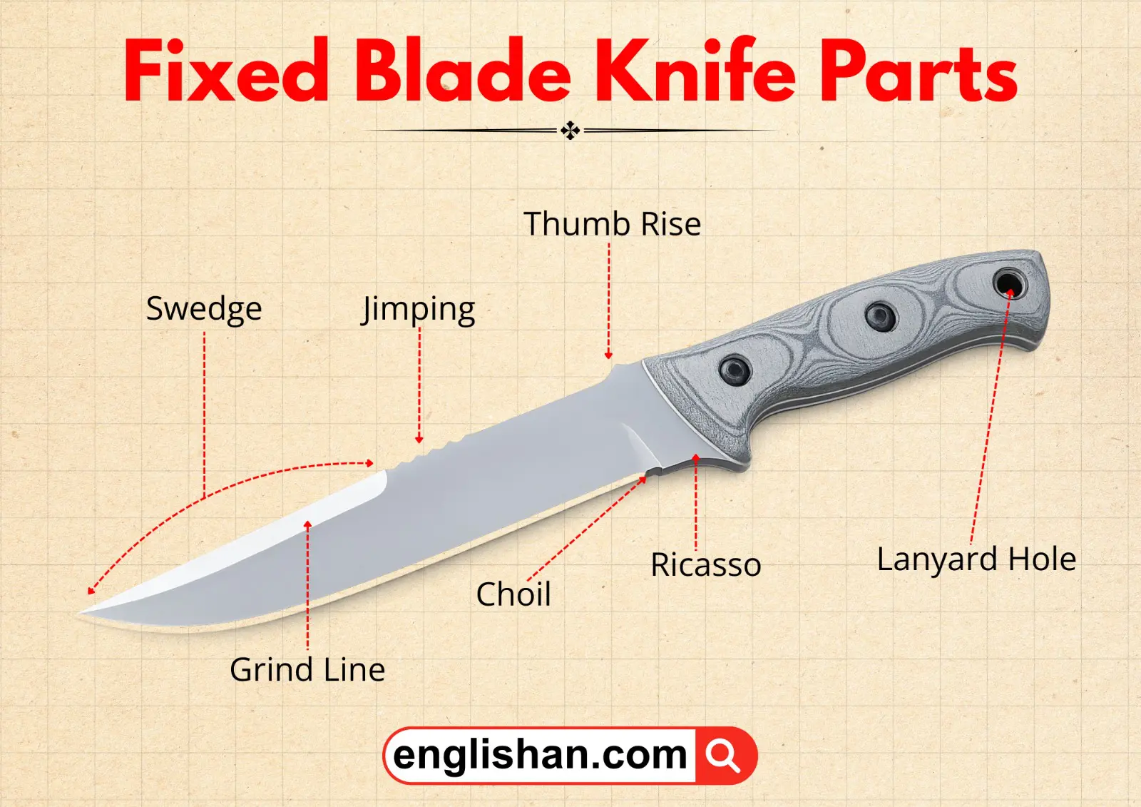 Diagram showing the main parts of a fixed blade knife, including the blade, handle, and tang.