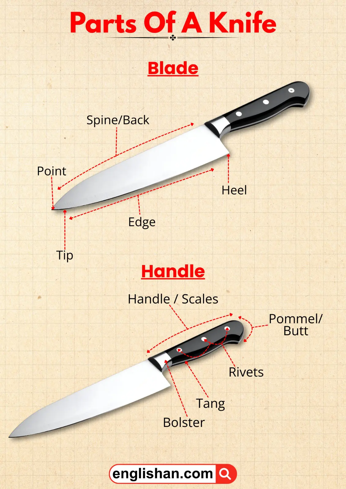Diagram showing the main parts of a knife with labeled names