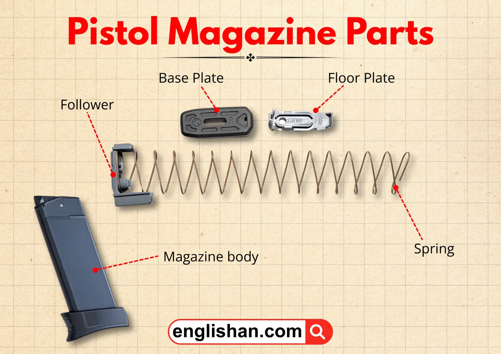 Pistol magazine parts arranged neatly, showing the spring, follower, base plate, and magazine body.