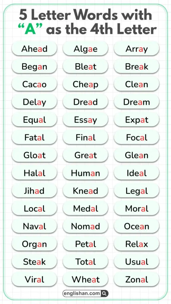 List of 5-letter English words with A as the fourth letter