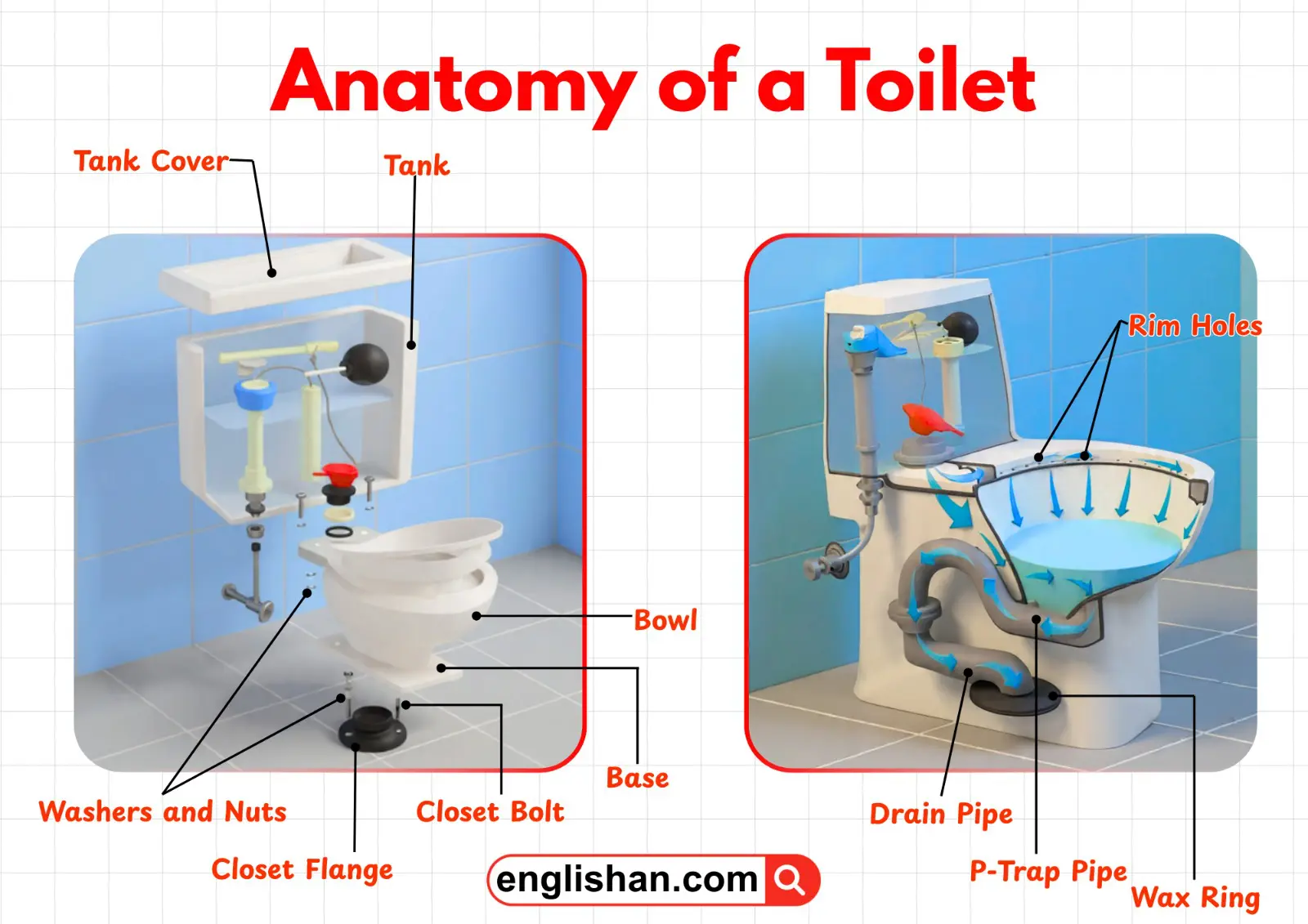 Diagram showing parts of a toilet with labels.
