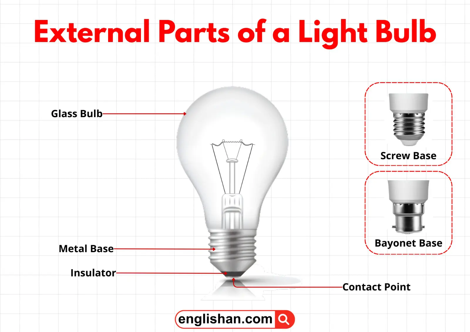 External parts of a light bulb showing the glass bulb, metal base, and contact point.