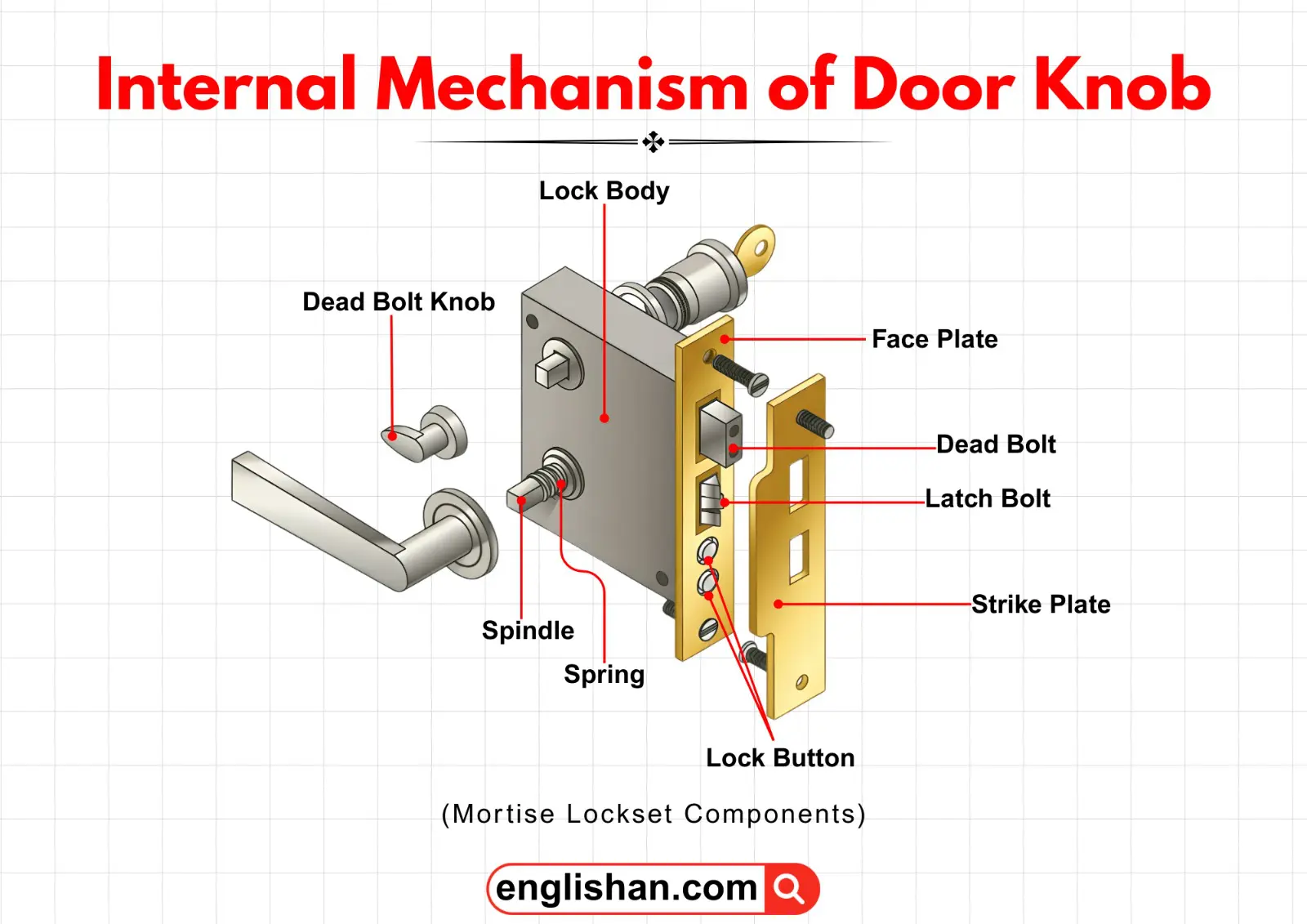 Internal view of a door knob showing its mechanism.