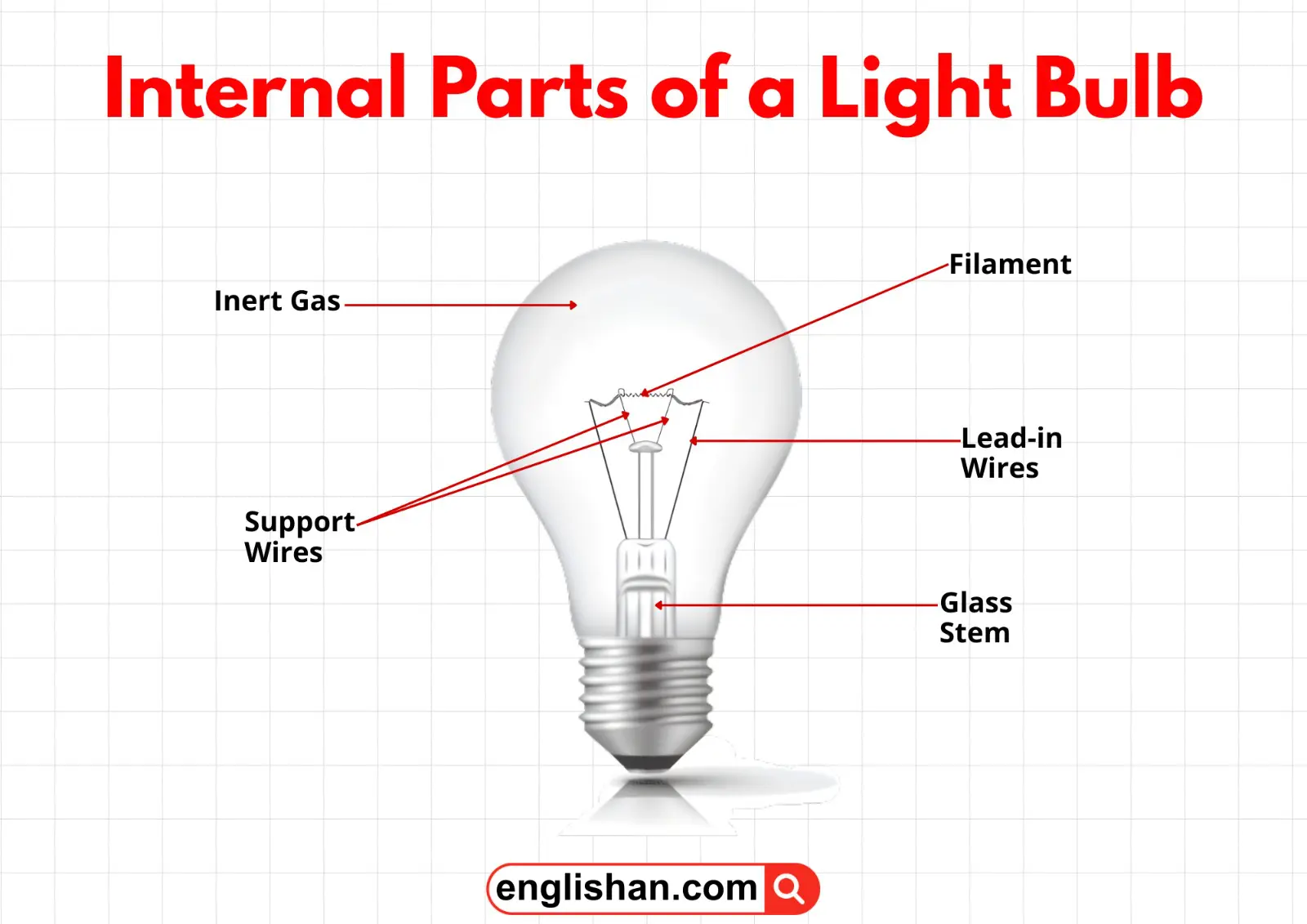 Internal parts of a light bulb showing the filament, support wires, glass bulb, and base.