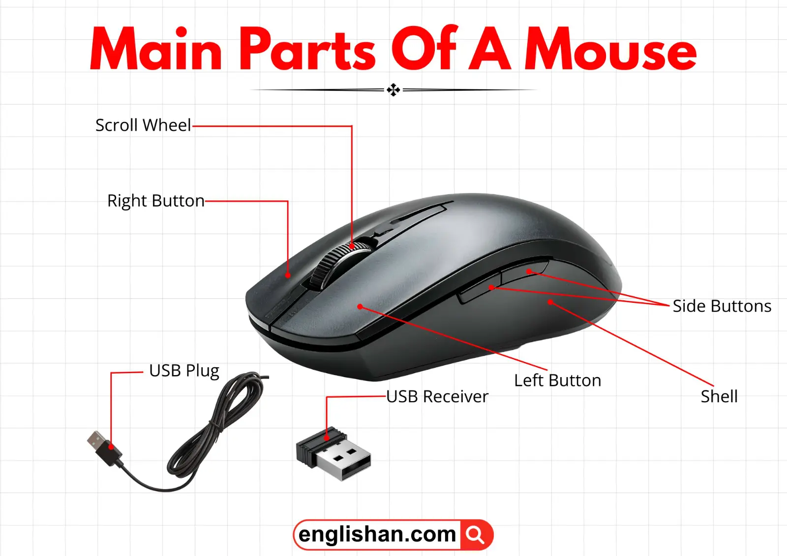 Main parts of a computer mouse including buttons, wheel, and sensor.