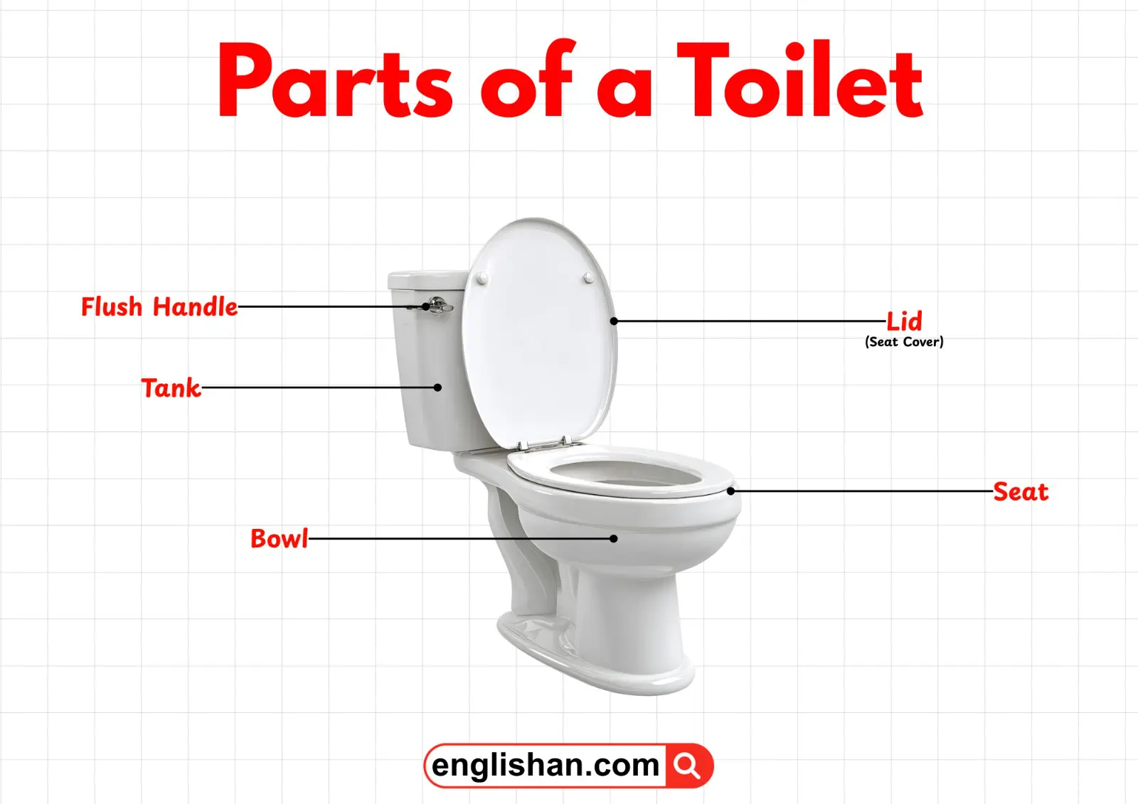 Diagram showing the main parts of a toilet, including the tank, bowl, flush handle, fill valve, and trap.