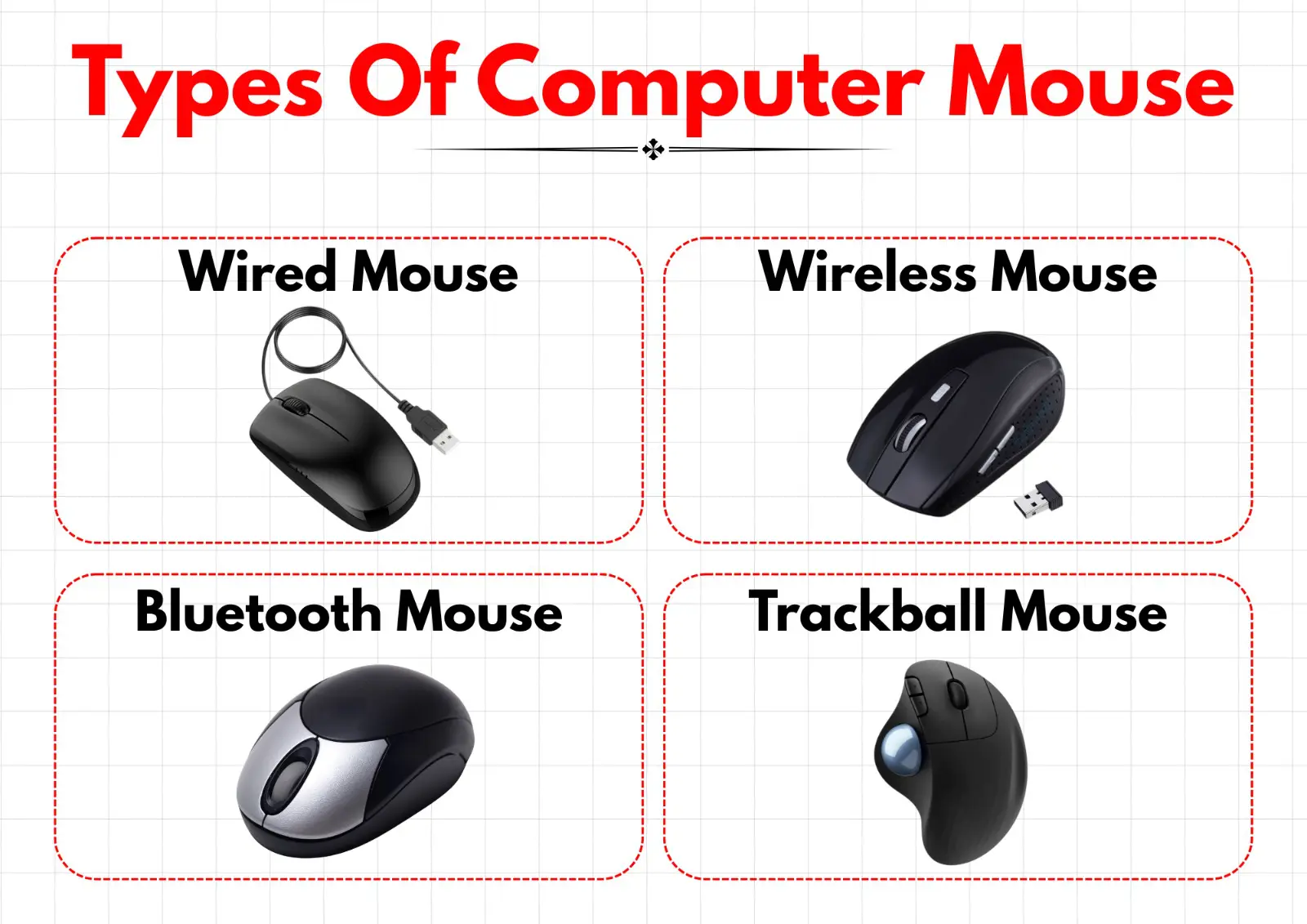 Various types of computer mice arranged together