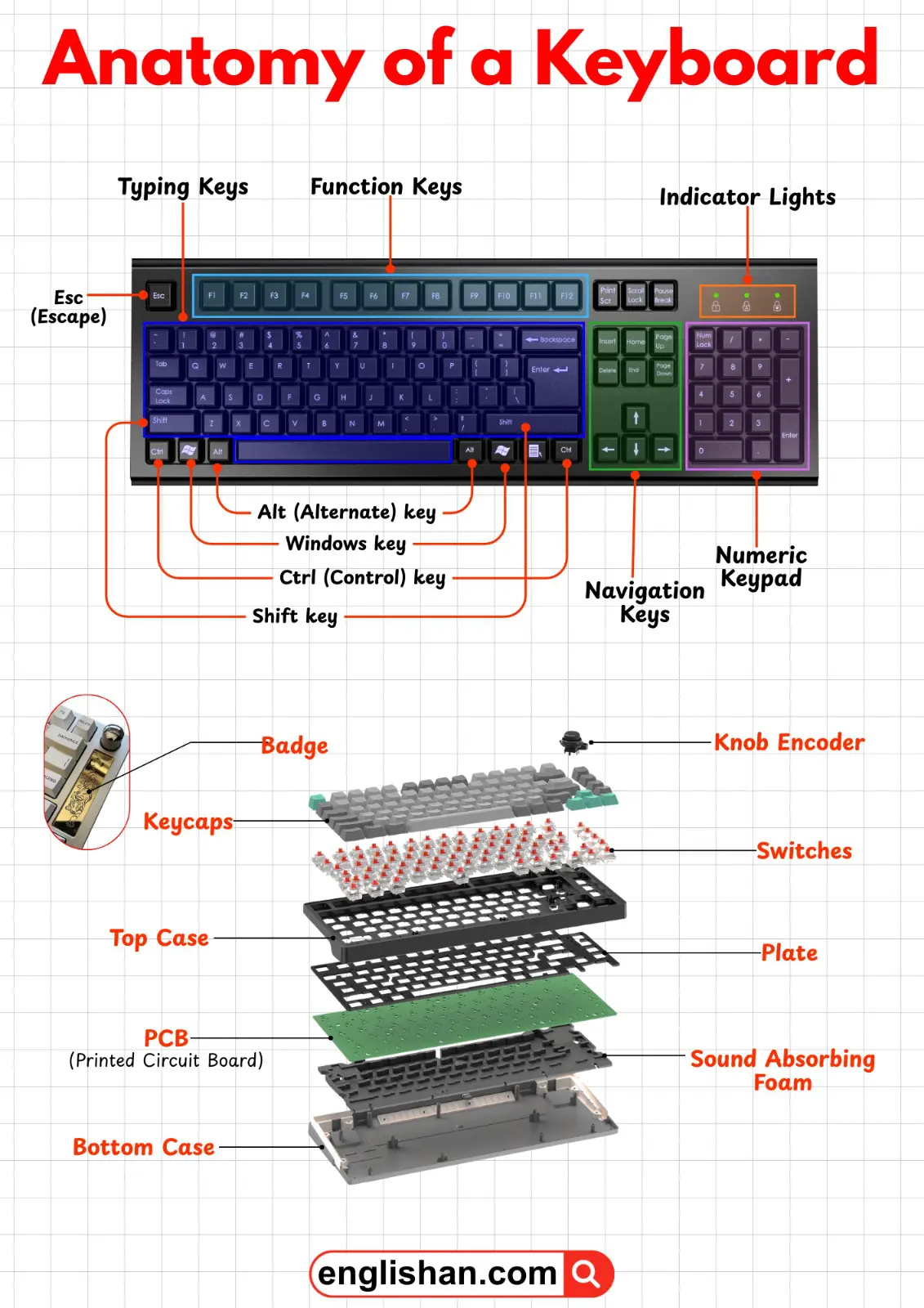 Labeled diagram of a computer keyboard showing typing keys, function keys, numeric keypad, navigation keys, and indicator lights.