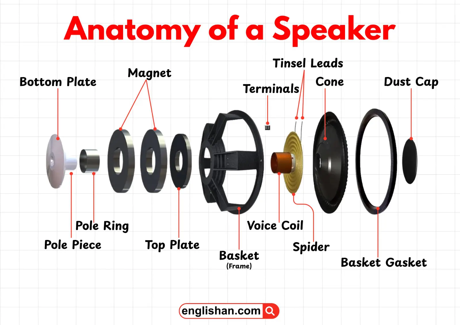 Speaker showing cone, magnet, voice coil, and other parts.