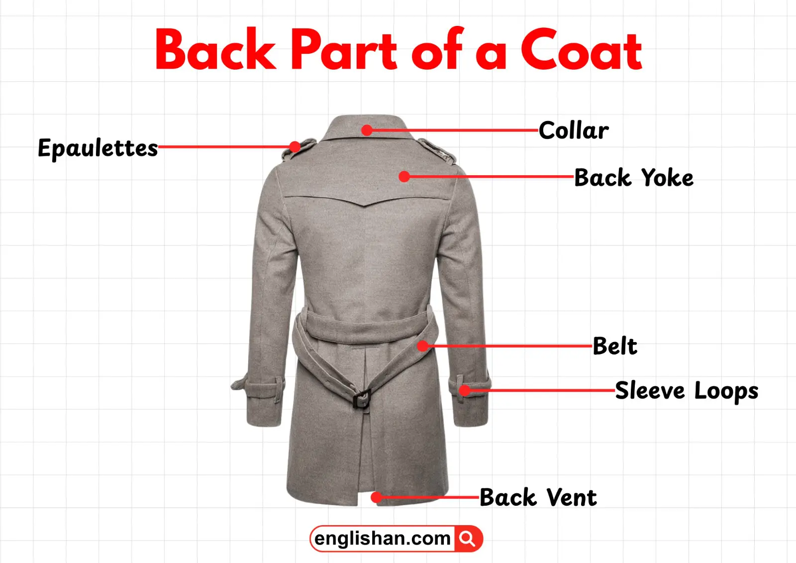 Back view of a coat showing its parts