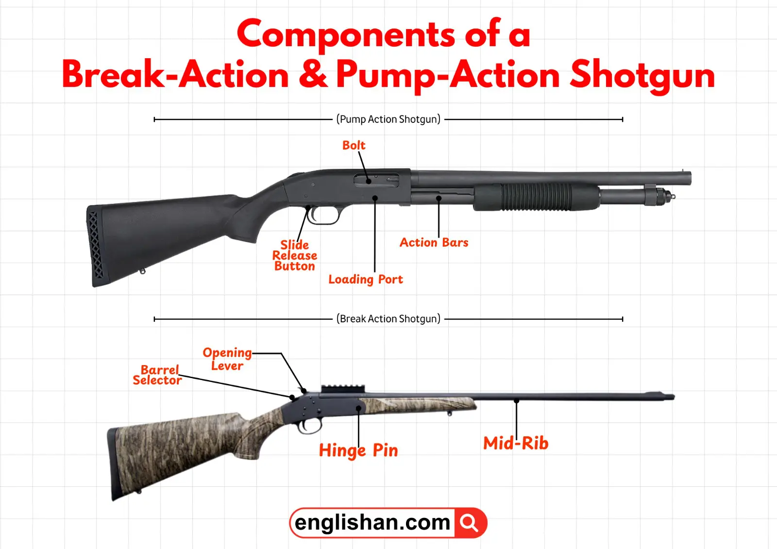 Labeled diagram of break action and semi-automatic shotgun components, including barrel, receiver, trigger, stock, bolt, and magazine tube.