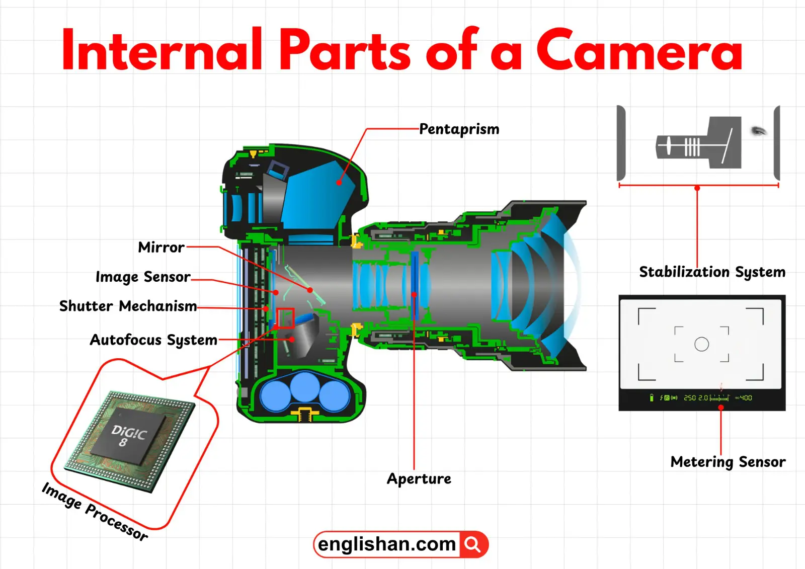 Labeled internal parts of a camera showing the sensor, shutter, mirror, processor, and autofocus system.