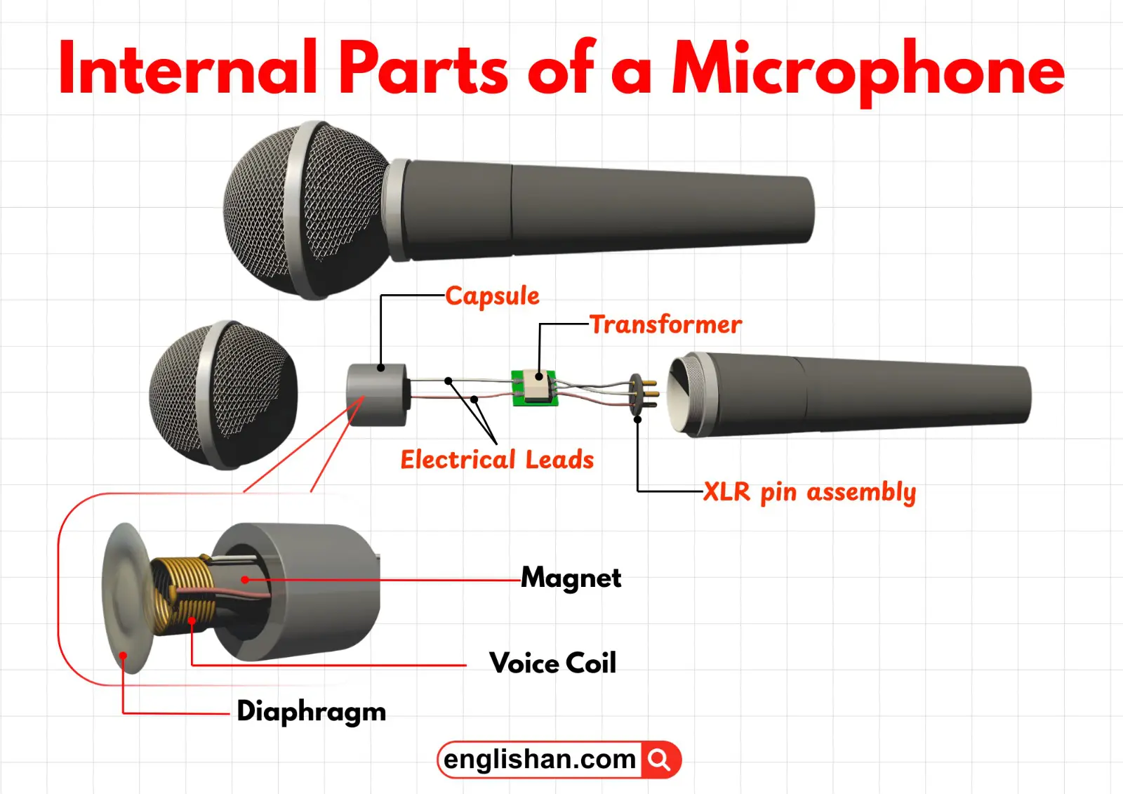 Internal parts of a microphone labeled diagram showing diaphragm, voice coil, magnet, and circuitry.