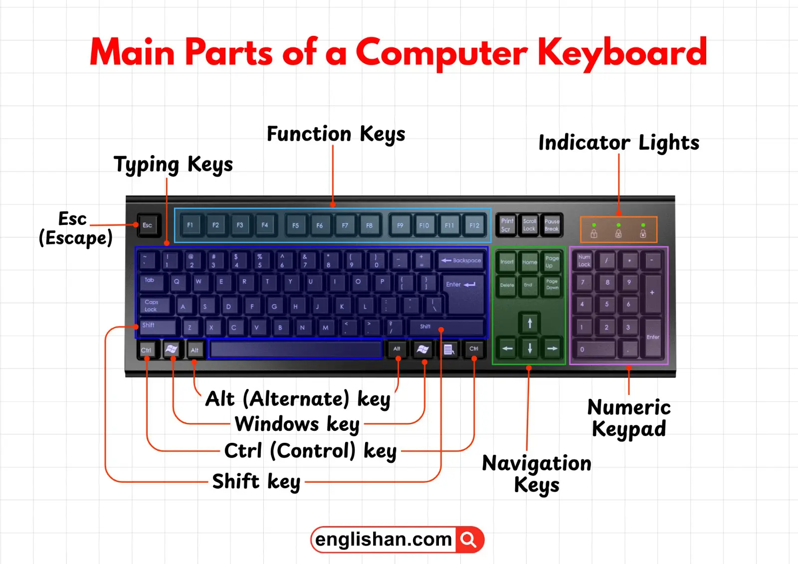 Diagram showing the main parts of a keyboard labeled as typing keys, function keys, numeric keypad, navigation keys, and indicator lights.