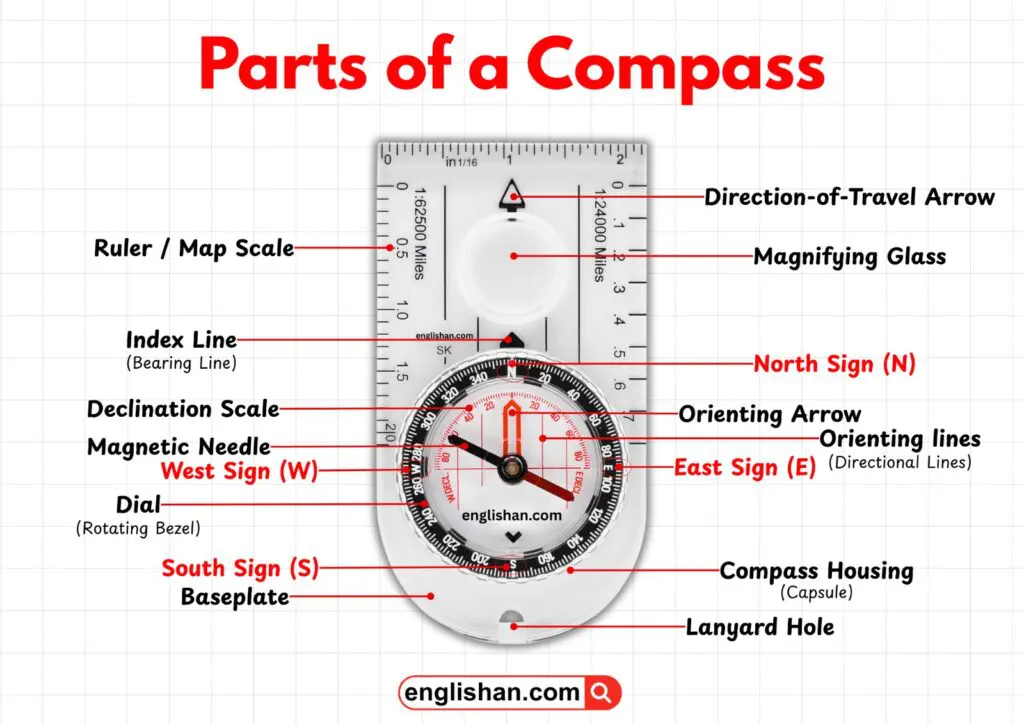 Diagram of the main parts of a compass labeled with needle, dial, baseplate, and direction markings.