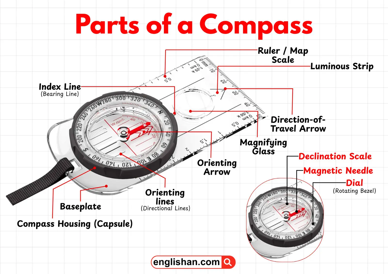 Diagram of the main parts of a compass labeled with needle, dial, baseplate, and direction markings.