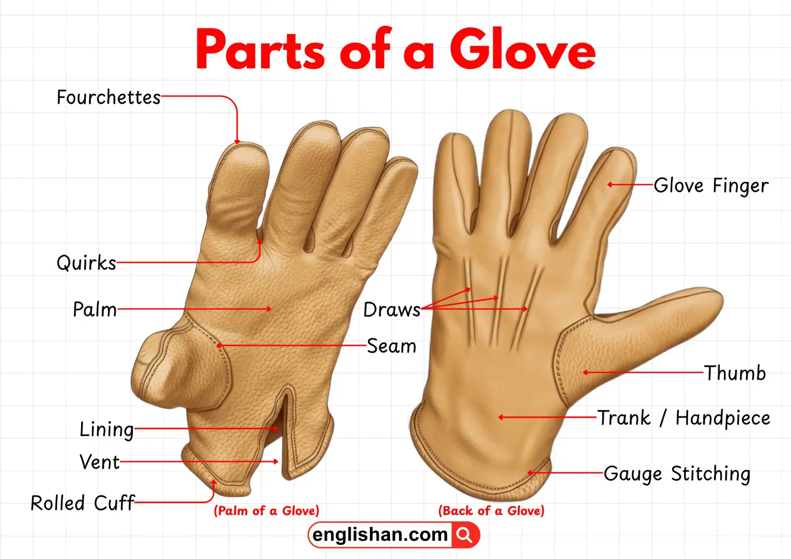 Diagram showing the main parts of a glove, including fingers, palm, thumb, cuff, and lining.