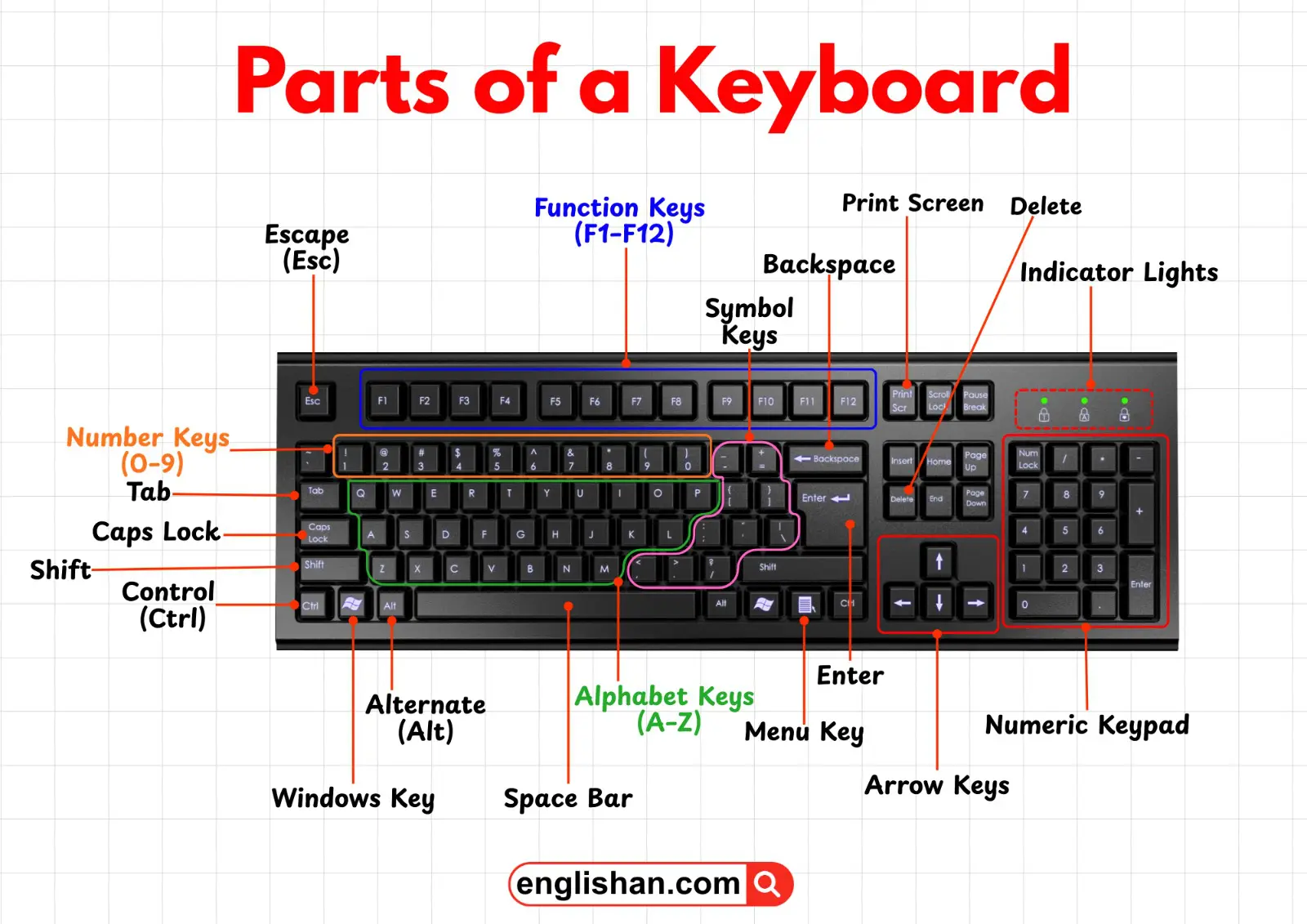 Labeled diagram of a keyboard showing typing keys, function keys, numeric keypad, navigation keys, and indicator lights.
