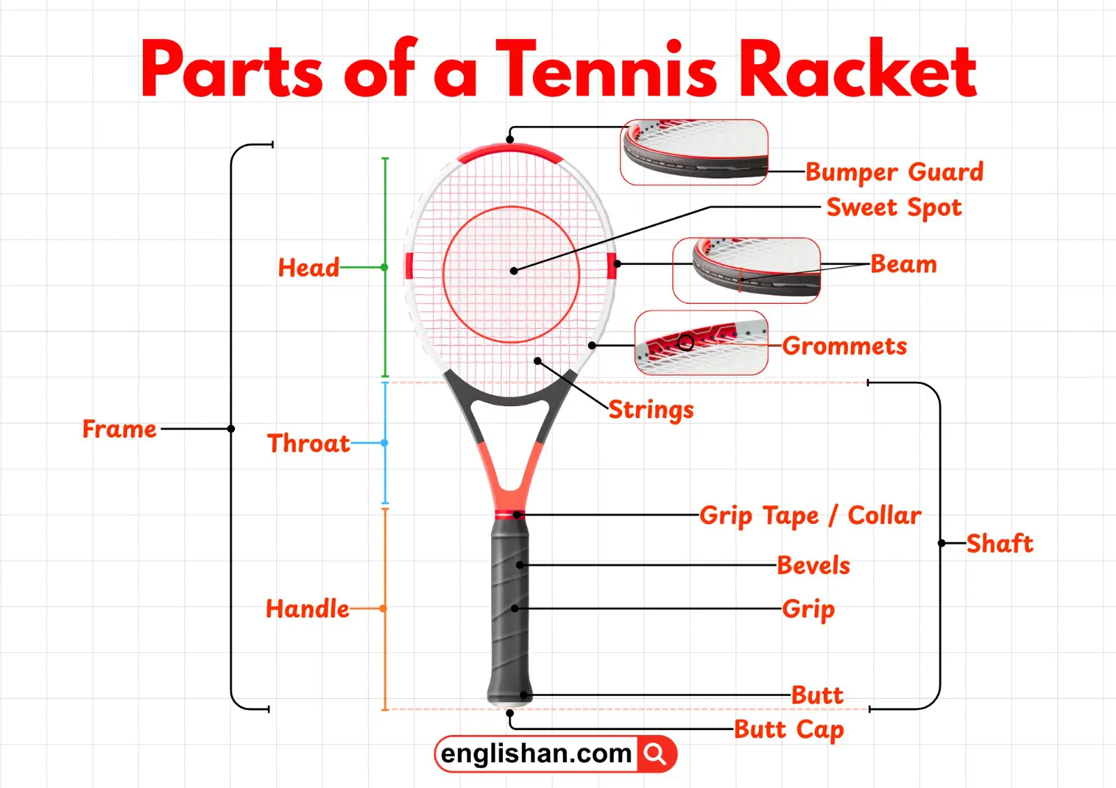 Labeled diagram showing the parts of a tennis racket