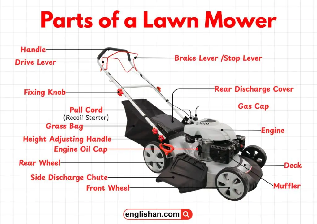 Parts of lawn mower names on a gas push mower, from the engine, deck, and blade to the brake lever and grass bag. Picture vocabulary for English learners and new mower owners.