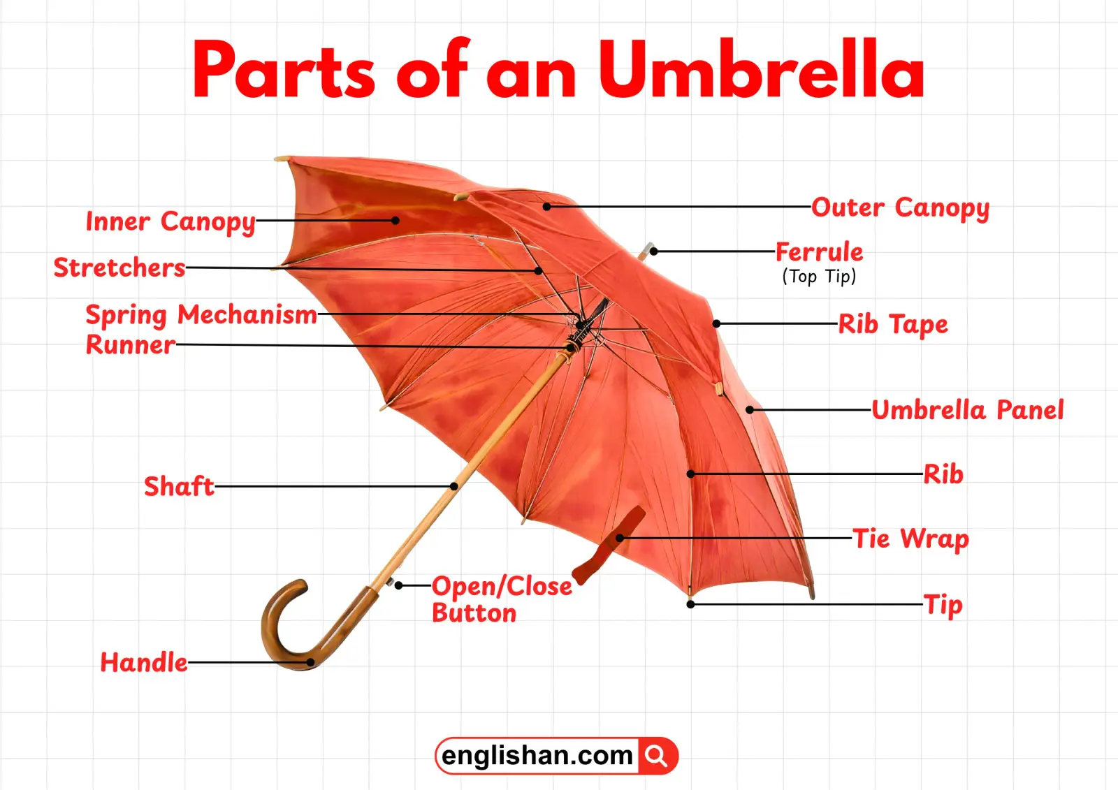 Diagram showing all parts of an umbrella with labels