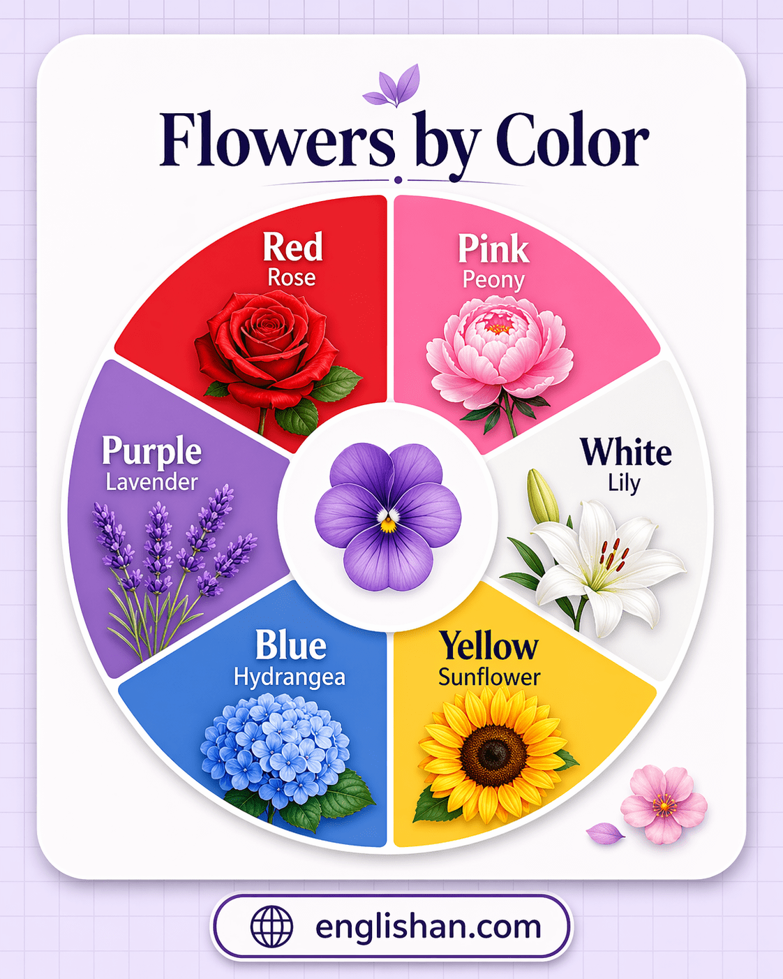 Flowers by color chart showing red, orange, yellow, pink, purple, blue, 
and white flowers with names arranged by color.