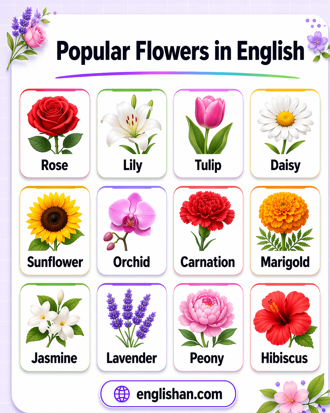 Popular flowers in English with names including rose, tulip, sunflower, daisy, lily, orchid, lavender, and marigold arranged in a labelled grid.