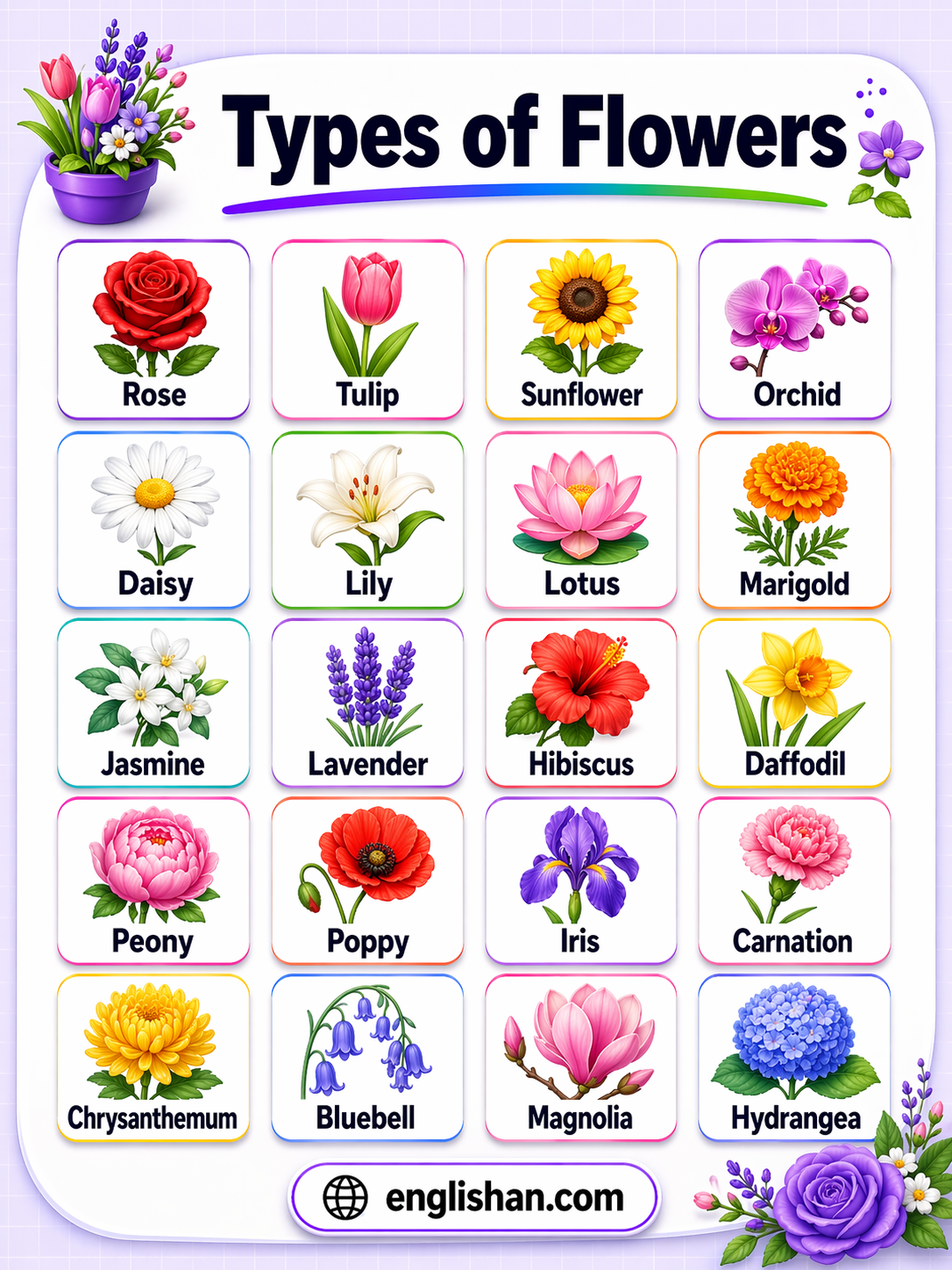Types of flowers with names and pictures including rose, tulip, sunflower, 
daisy, orchid, lily, daffodil, and lavender arranged in a labeled grid.