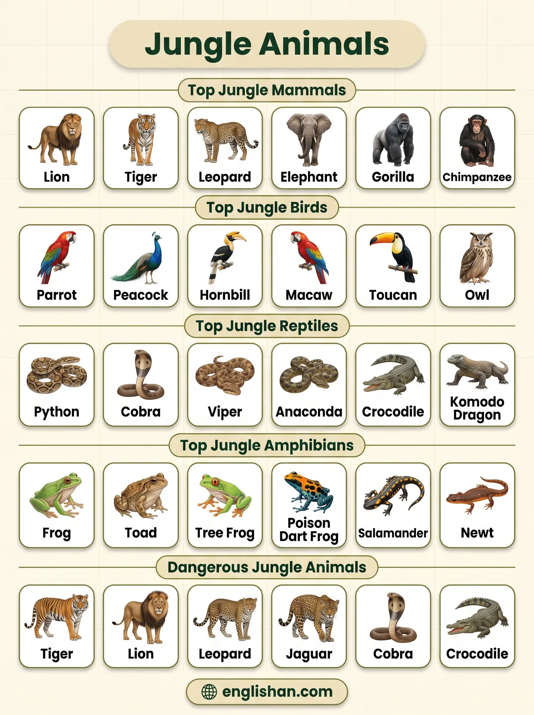 Jungle animals names showing lion, tiger, elephant, leopard, deer, and monkey in forest habitat