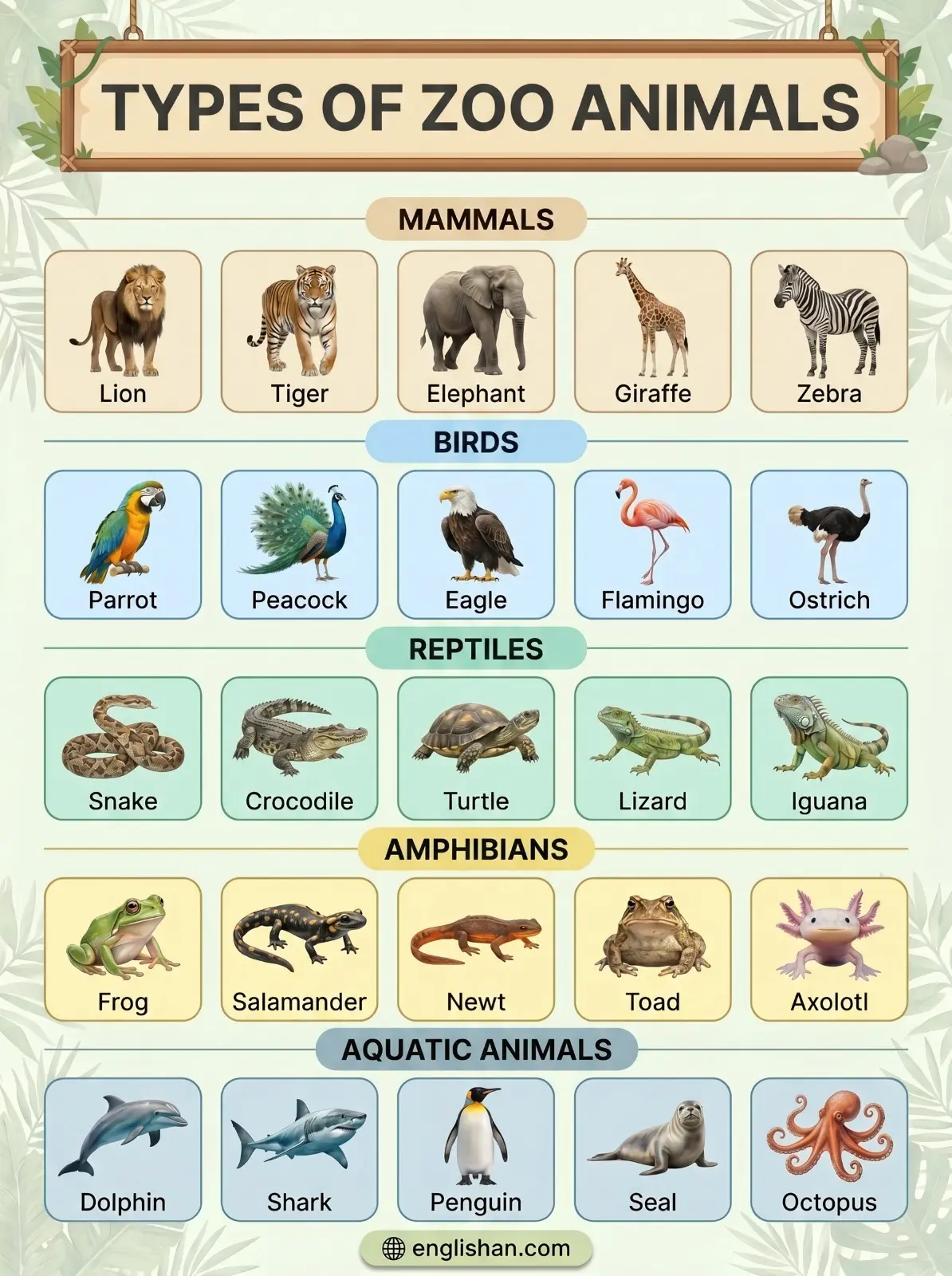 Types of zoo animals grouped into mammals birds reptiles and amphibians with lion elephant crocodile penguin and frog