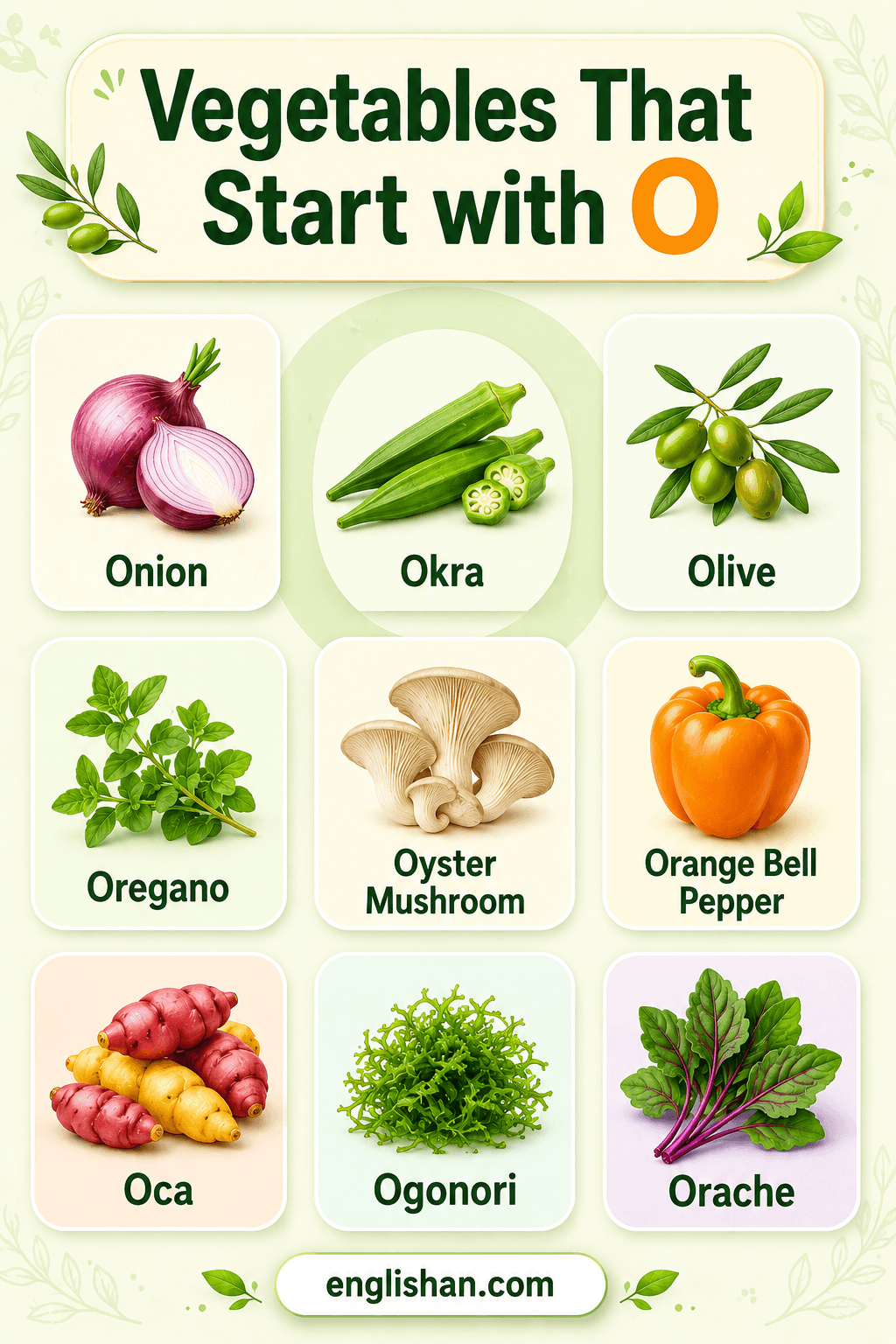 List of vegetables that start with O, such as okra, onion, oca, and orache.