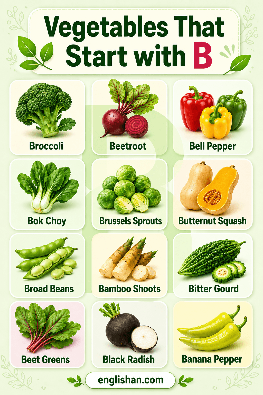 Vegetables that start with B shown with names and pictures of broccoli, beetroot, brussels sprouts, bok choy, and butternut squash.