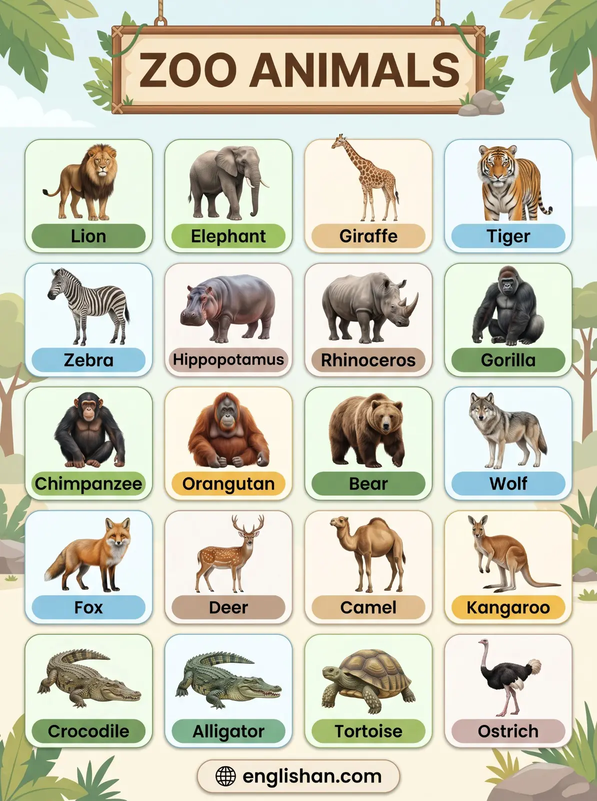 Zoo animals names with pictures showing lion, tiger, elephant, giraffe, zebra, panda, and other wildlife species