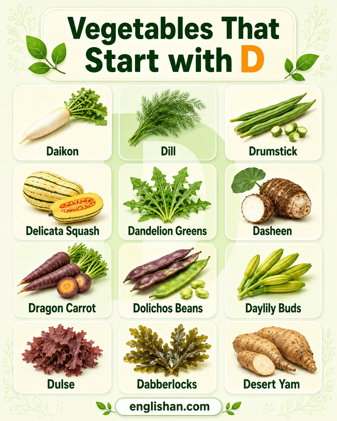 Vegetables that start with D shown with names and pictures of daikon, dandelion greens, dill, drumstick, and delicata squash.