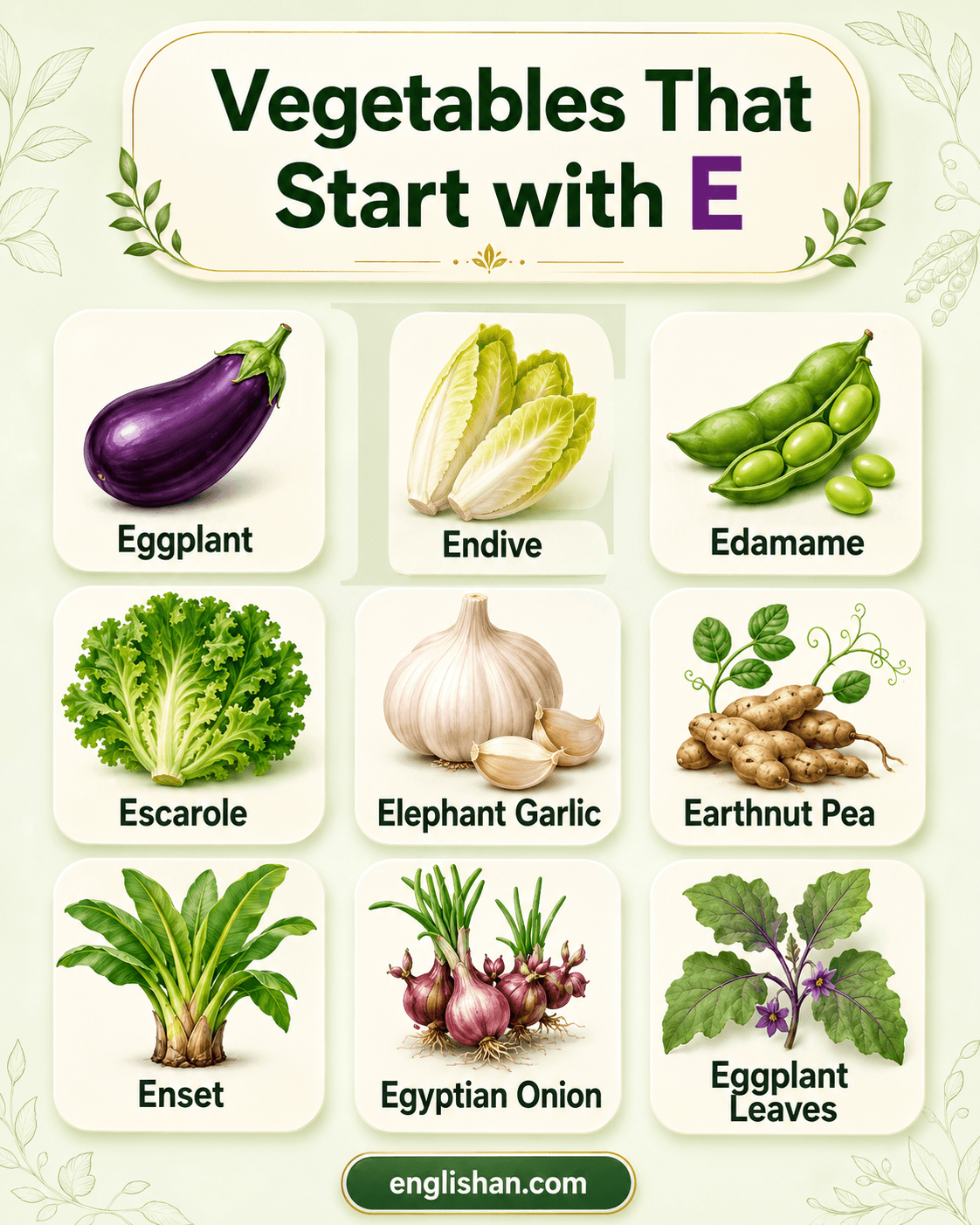 Vegetables that start with E shown with names and pictures of eggplant, endive, escarole, edamame, and elephant garlic.