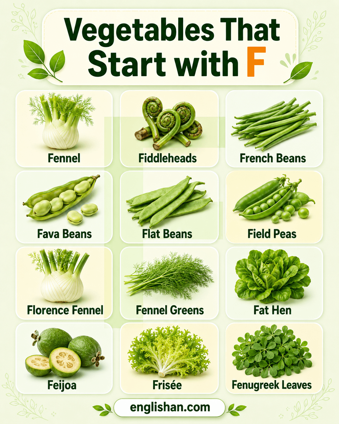 Vegetables that start with F shown with names and pictures of fennel, fava beans, fiddleheads, French beans, and frisée.
