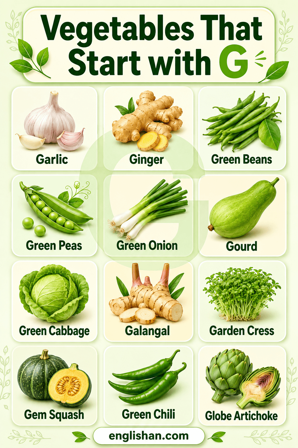 Vegetables that start with G including garlic, ginger, green beans, green peas, and gem squash with names