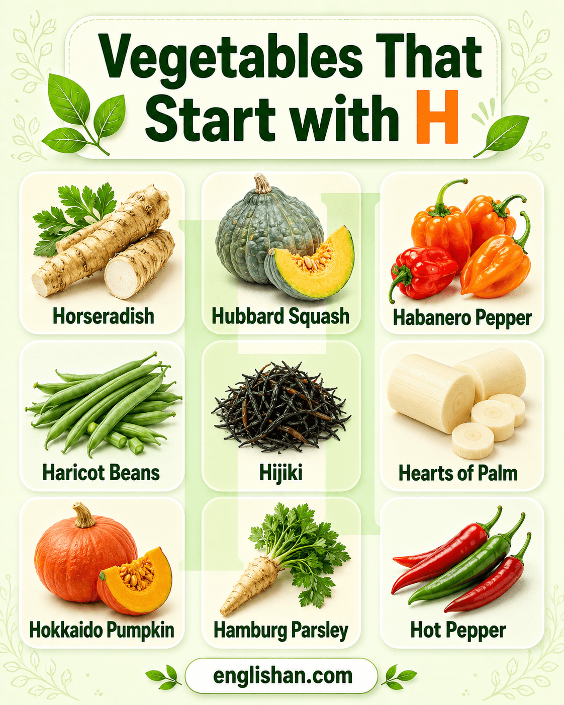 Vegetables that start with H with pictures and names including horseradish, habanero, and hubbard squash