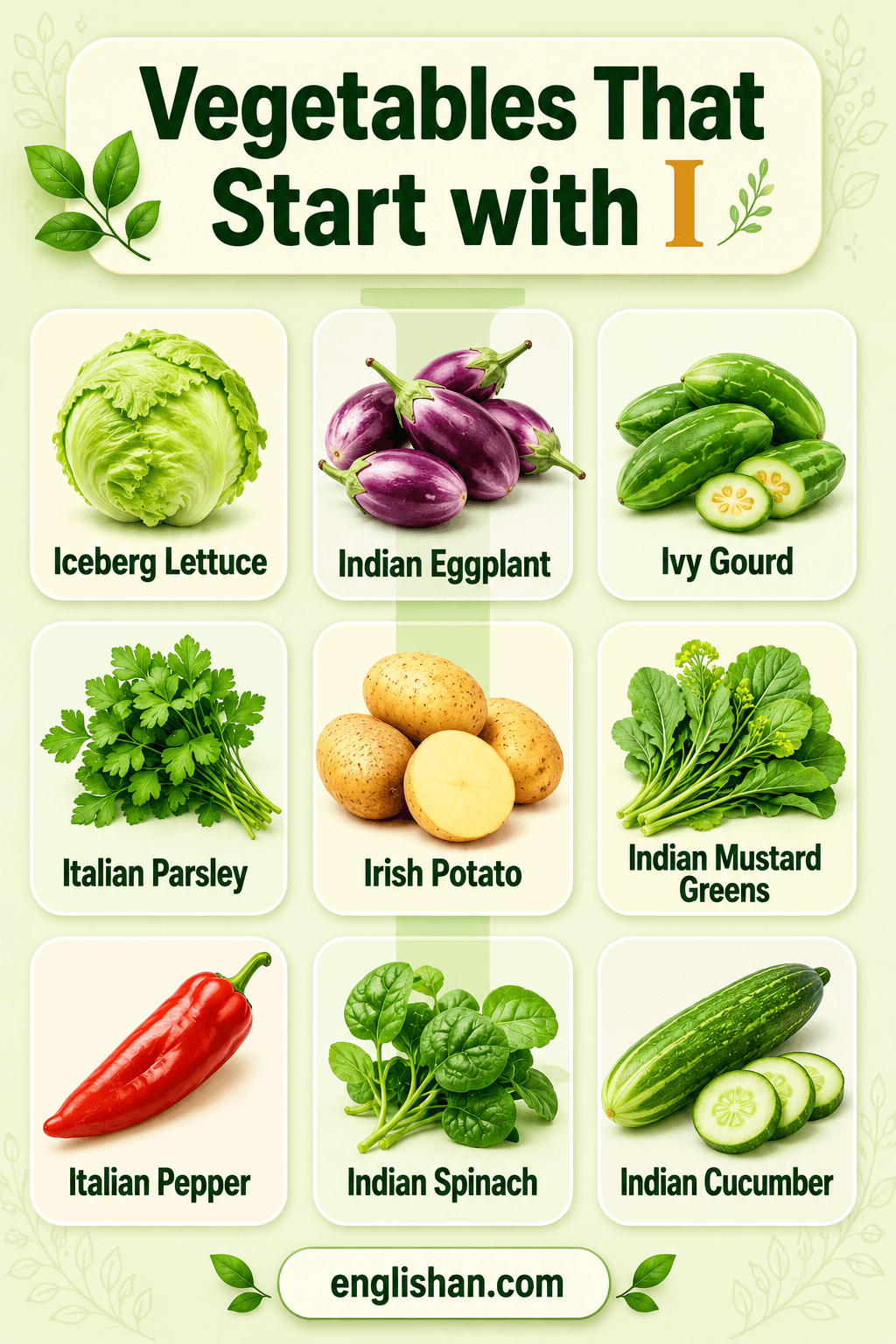 Vegetables that start with I with pictures and names including iceberg lettuce, ivy gourd, and icicle radish